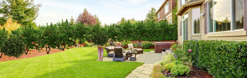 5 STAR Fence + Stain photo 4